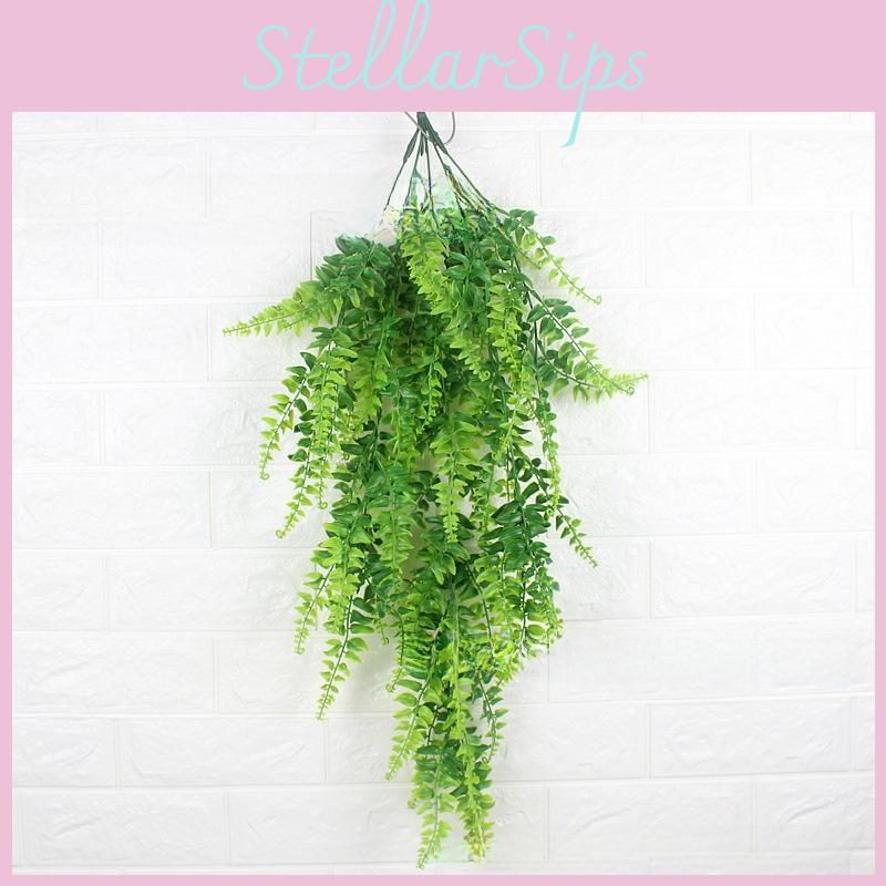 Plant Latiusculum Pteridium For Wedding And Outdoor Events Decorate