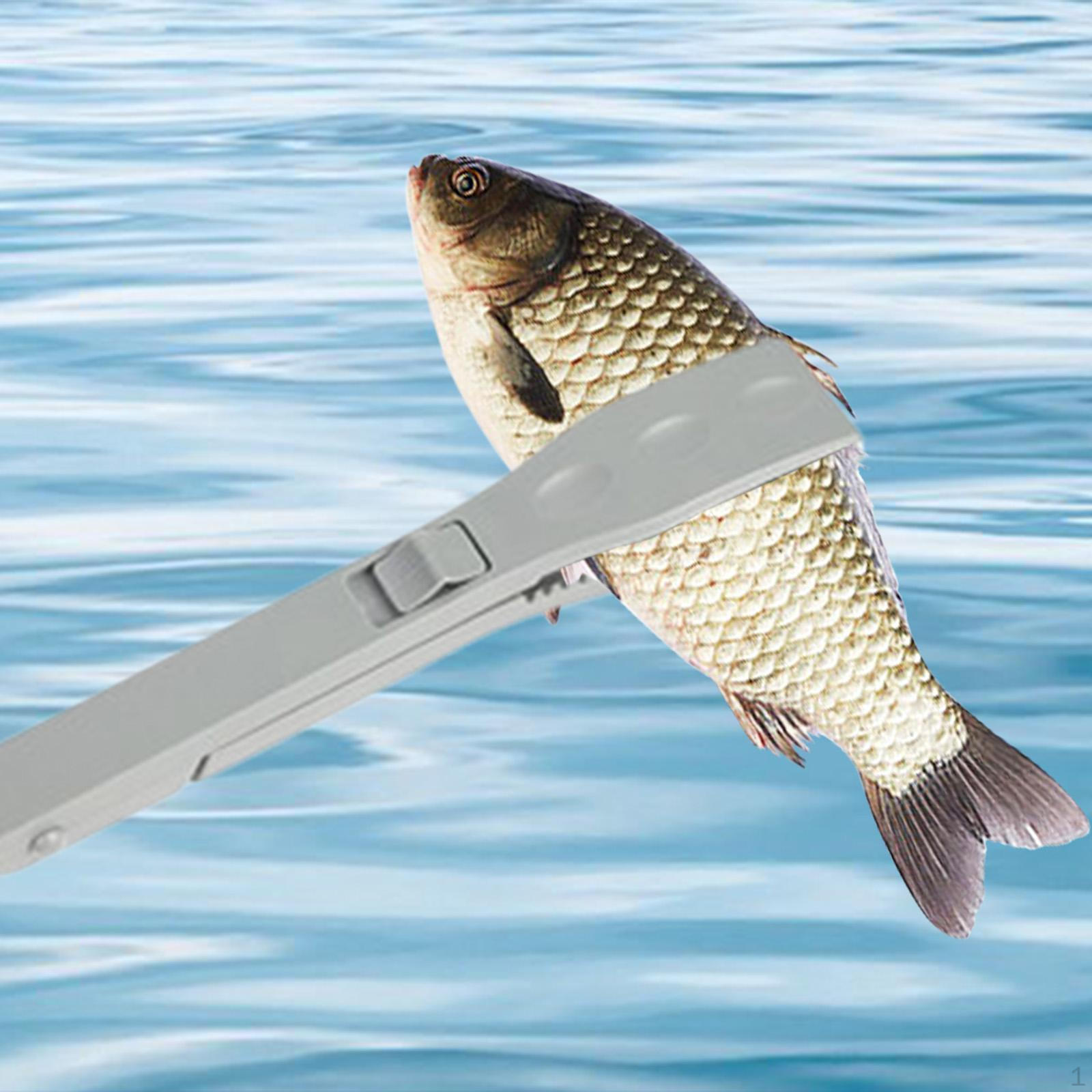 

Держатель для захвата рыбы, удобный захват, рыболовное оборудование, портативные щипцы, контроль серый