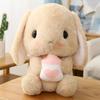 22CM Long Ear Rabbit Plush Toy Cute Radish Pillow Sitting Posture Bunny Doll Festive Gifts For Children Christmas Gift