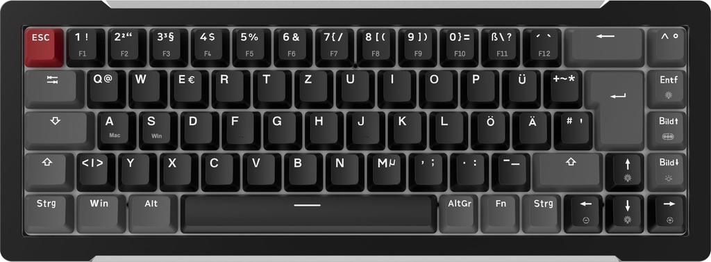 RAIJINTEK BLACK TKL Gaming Keyboard English Layout Wired Magnetic Switches 69 Keys Connection CNC Aluminum Frame Hot Swappable Lighting Compatible