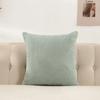 Plush Velvet Pillow Cover Premium Teddy Fleece Sofa Cushion Case Office Nap Pillow Seat Back Support Home Decor Throw Pillowcase
