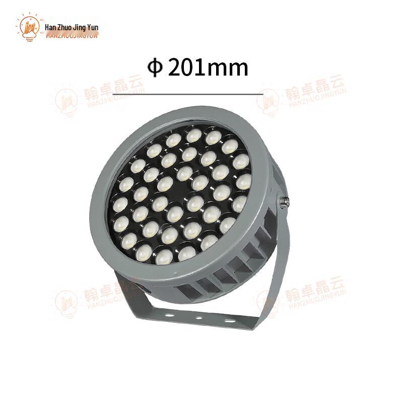 Outdoor Waterproof Landscape Floodlight