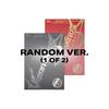 [Pre-order] WayV - Vision Wings (PHOTOBOOK Ver.)