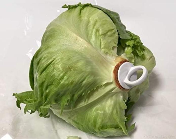 Gemüse Frisch Einfach in den Stiel stecken, um die Wachstumsrate von Gemüse zu verlangsamen und es für Keeper länger frisch zu halten.