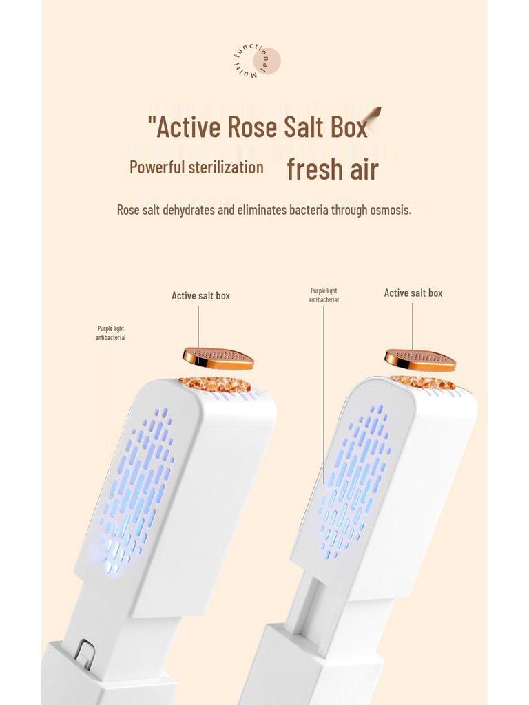 Multi-Function Smart Shoe Dryer with Timer and Deodorizing Sterilizer