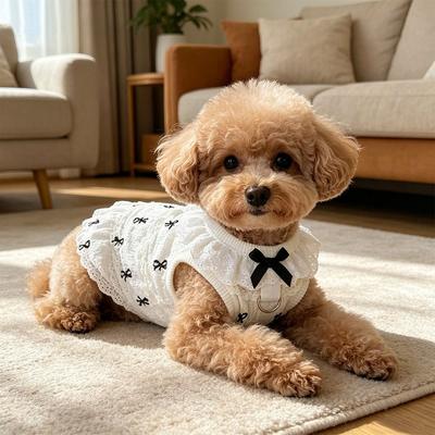 Bekleidung & Schuhe – Westen & Hemden für Hunde