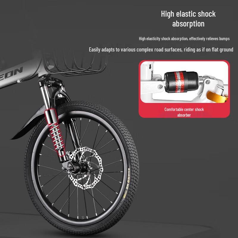 Feige Klokan F197003 20palcové jednorychlostní městské kolo