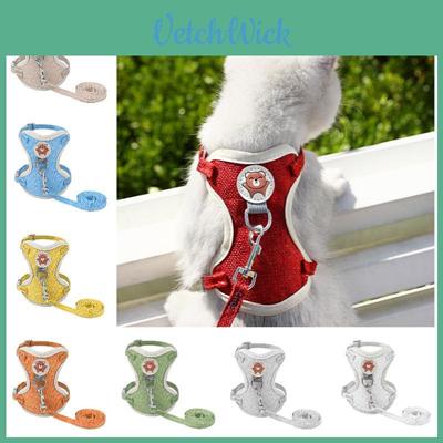 Köpek – Köpek Tasmaları ve Tasma Kayışları