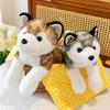 New Simulation Husky Doll Plush Toy Erha Throw Pillow Doll Children's Doll Birthday Gift Girl
