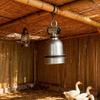 Aluminum Die Cast E27 Lamp Holder with Line Switches for Reliability Performances and Bulb Versatilities