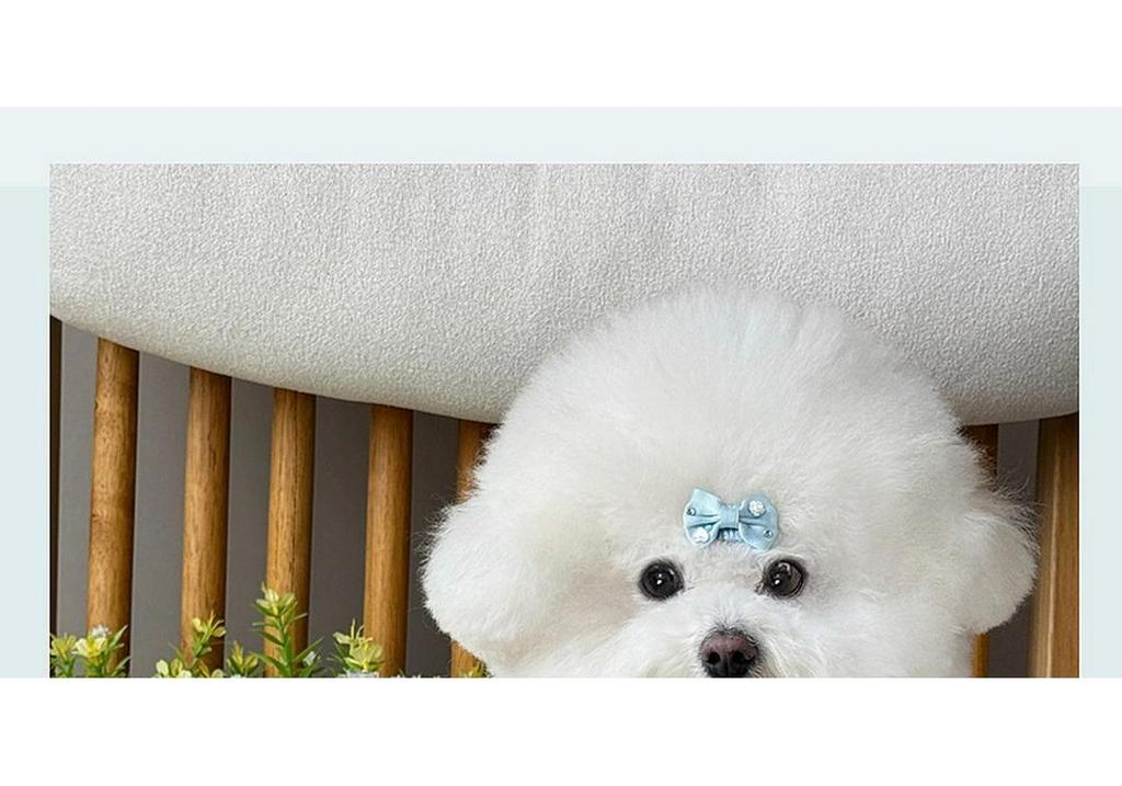Adorable Ice Silk Fluffy Pet Dress for Dogs and Cats