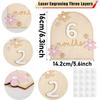 Baby Monthly Milestone Cards Wooden Monthly Milestone Discs Newborn Photography Props Baby Growth Document Announcement Sign