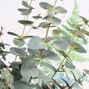 Simulation Eukalyptus, lichtecht, zum Selbermachen, hübsches Blumenarrangement, konservierte Pflanzen, Partyzubehör