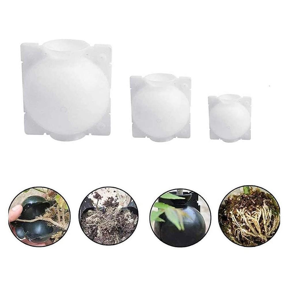 Boost Your Garden's Productivity with Propagation Ball Box Set of 6