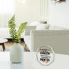 Presentes para Professores de Espanhol: Um Coração Grande Forma Uma Mente Pequena, Berçários, Mesa de Casa Sala de Estar Decoração em Acrílico, Decoração Clássica para Casa para Sala de Estar