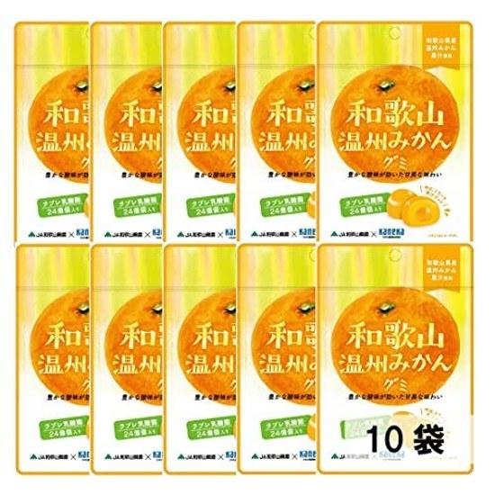 10er-Set Kaneka Foods Wakayama Unshu Mikan Gummibärchen Fruchtsaft Lactobacillus 40g 10 Beutel