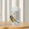 Automatic Bird Feed -food Container, Parrots Dispenser Hanging Feeding Station for Canaries
