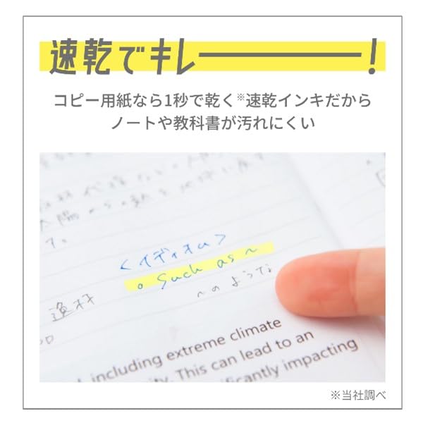 Pilot Highlighter Marker Kireena Pale 5-Color Set [All 2 Types]