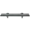 Floating Shelf Glass 30x10 Cm 8 Mm