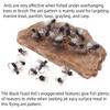 6pcs/Box Fly Fishing Flies Dry Fly Black Foam Ant for Riverine Trout, Panfish, Bass, Grayling, and Carp Fishing Lures