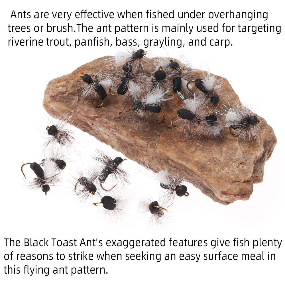 6pcs/Box Fly Fishing Flies Dry Fly Black Foam Ant for Riverine Trout, Panfish, Bass, Grayling, and Carp Fishing Lures