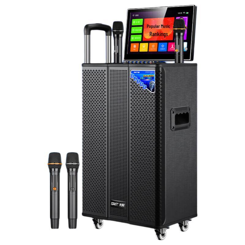 SAST SA-209 12-inch Bass Karaoke Speaker (CN version)