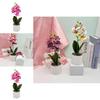 Indoor Orchid Plant Artificial Greenery For Wedding Home And Commercial Spaces