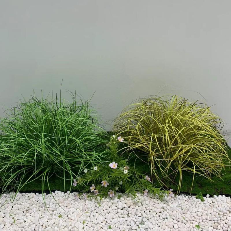 Artificial Grass Ball Ornament for Indoor Landscaping and Photography 