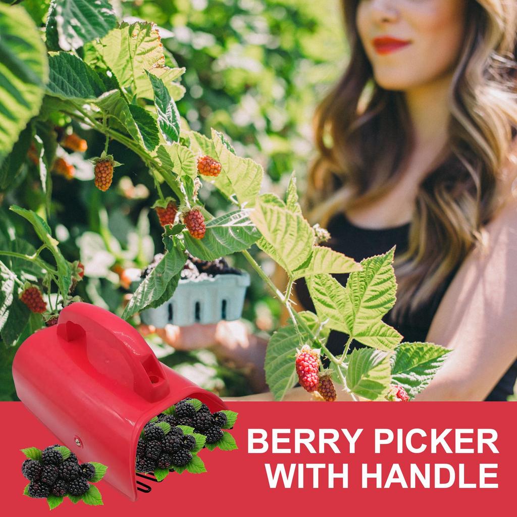 Berry Picker with Handle Pick-up Tools Berry Picker Rust Proof Fruit Harvester Blueberry Rake Ergonomic Handle