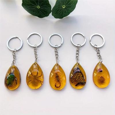 1 STuks Insecten Specimen Amber Sleutelhanger Hangend Klein Cadeau Auto Sleutel Tas Sleutelhanger Hangend Ornament