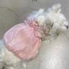 Dog Spring Summer Clothes Shiny Wings Dress Princess Strap Dress Cat Two-Legged Pet Dress Summer Teddy Dog