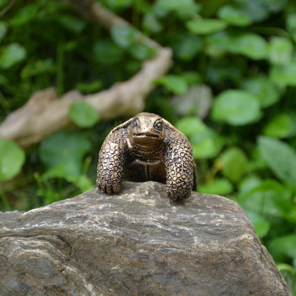 1 Piece of Retro Bronze Turtle Statue Small Ornaments Gardening Flower Pot Edge Decoration Garden Desktop Micro Landscape Creative Layout Realistic