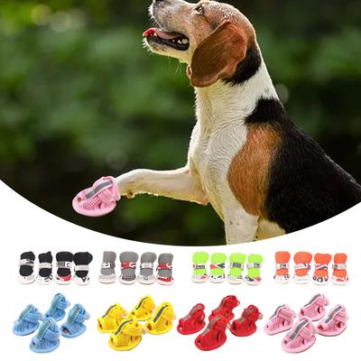 Ropa y calzado – Zapatos para perros