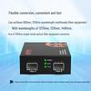Zhongke Optoelectronics Fiber Optic Single/Multi-Mode Converter