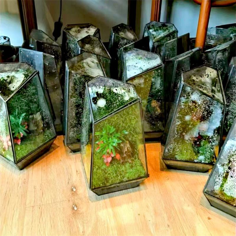 Quartz Shape Micro Landscape Glass Terrarium Moss Planter Tank Glass Flower Room Irregular Ecological Vase Geometric Terrarium