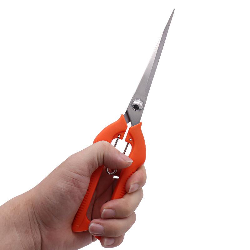 245mm Black Goji Berry Pruning Shears - Extended Fruit Picking Garden Scissors