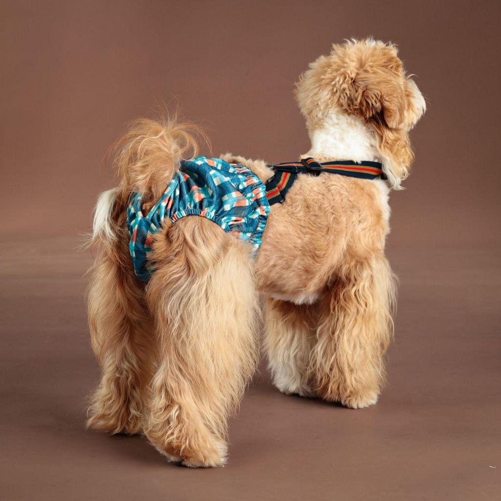 Large Dog Physiological Safety Suspenders - Female Dog Menstrual Anti-Harassment Pants