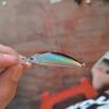Slow Sinking Soft Bait Minnow for Bass, Crucian Carp, Tilapia, Red Eye Trout, and Aspius