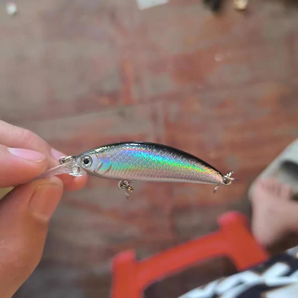 Slow Sinking Soft Bait Minnow for Bass, Crucian Carp, Tilapia, Red Eye Trout, and Aspius