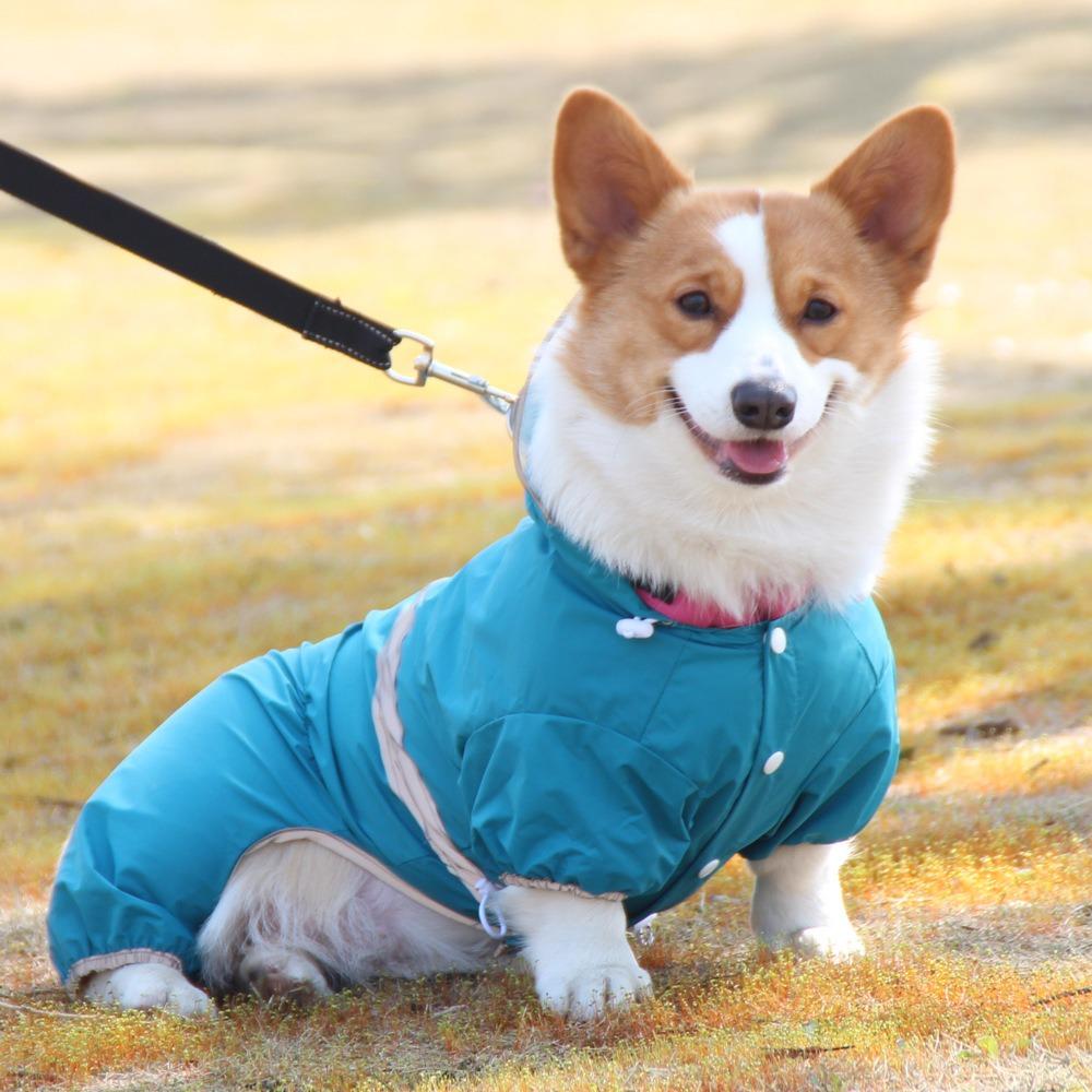 Rainy Corgi Clothes Short Reflective Dog Raincoat All Inclusive Small Dog Pet Jumpsuit Waterproof