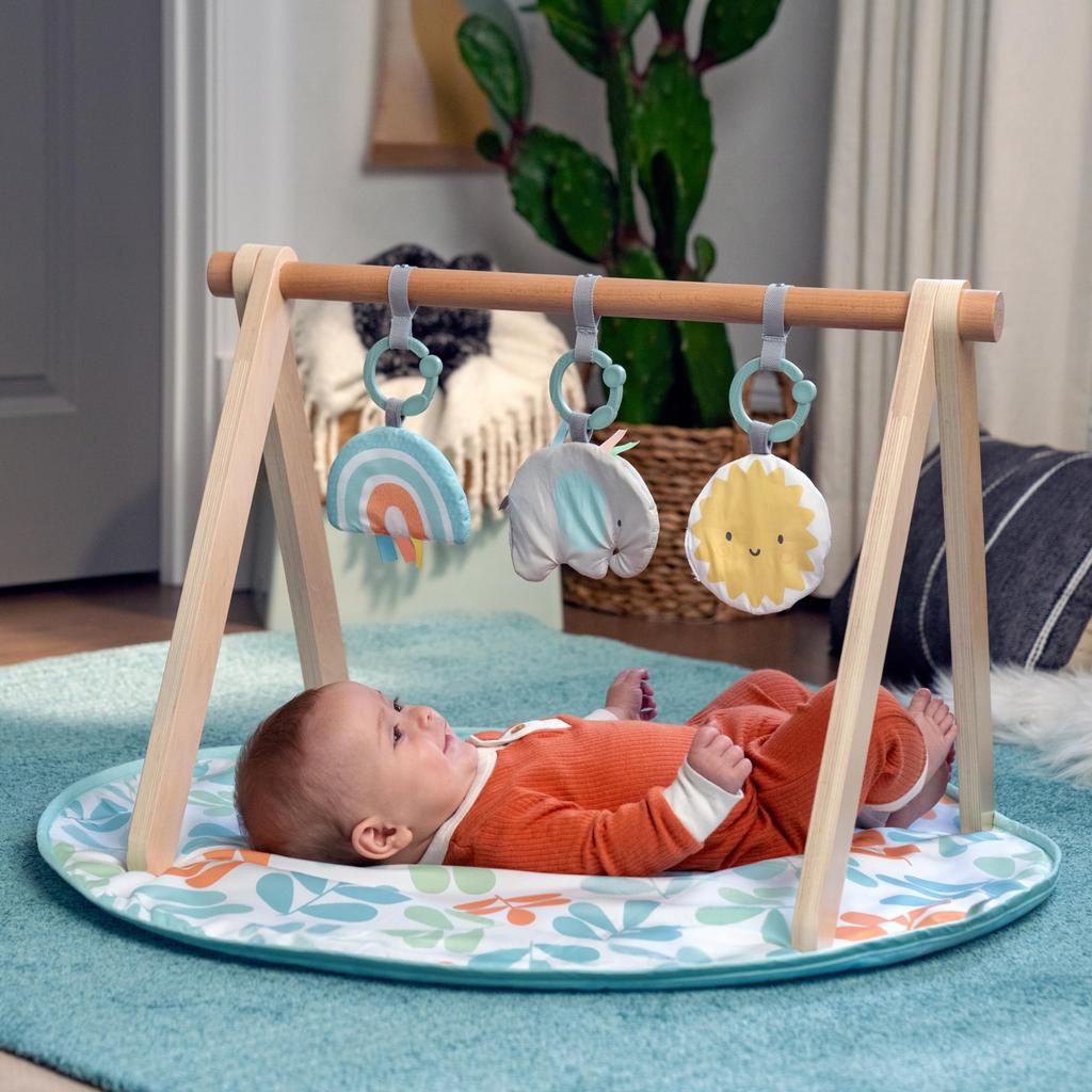 Ingenuity Wooden Toy Bar Play Mat Sun Valley 0 Months Activity Gym Baby Gym Baby Mat Play Gym 13122 &