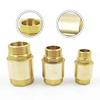 G Thread Brass Check Valve Suitable For Water Supply And Irrigation Systems Tool Accessories Professional Tools Instrument Parts