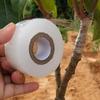 PE Grafting Tape Film Self-adhesive Garden Tree Plants Seedlings Vine Tomato Grafting Accessories Stretchable 2/3/4cm Width