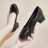 Not Tired Feet Comfortable High Heels 2025 Spring New Thick Heel French Single Shoes Women's Shallow Mouth Temperament Black Work Shoes