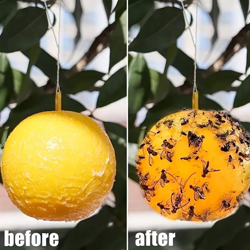 10/1x Hanging Ball Fruit Fly Catcher Pest Control Sticky Ball Wasp Bee Insect Trap for Outdoor Garden Orchard Long Lasting Gnat Traps