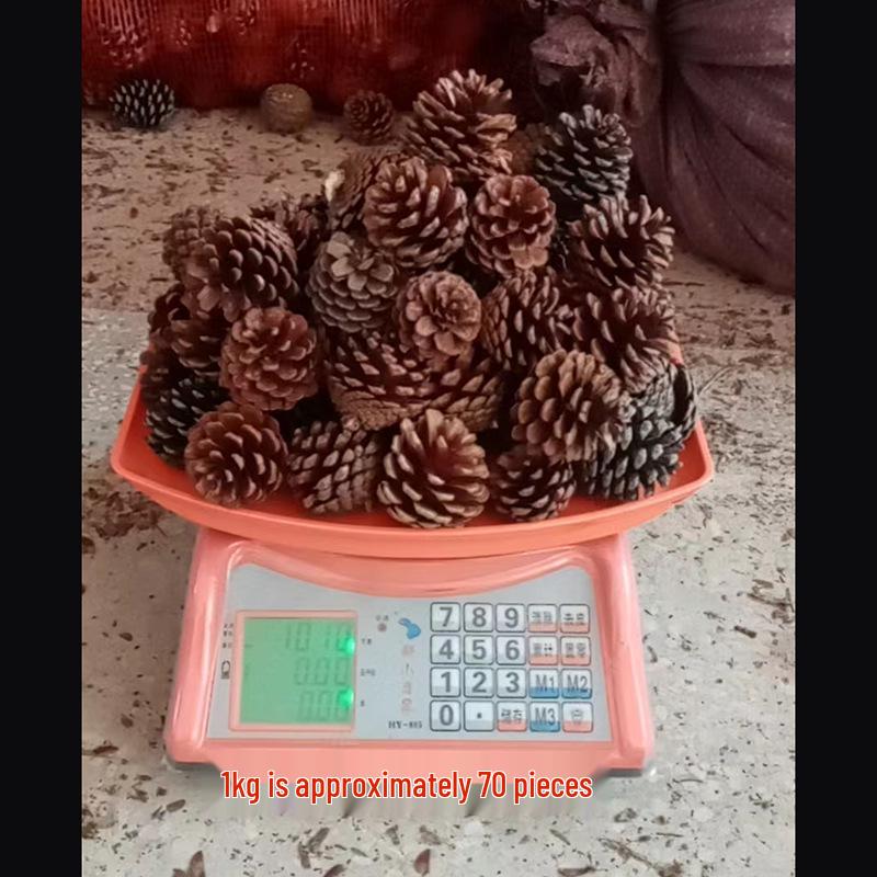 Dried Pine Cone Flower Ornaments - Handmade Christmas Decorations from Yunnan