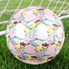 Pokémon Theme Size 5 Soccer Ball, Suitable for Both Indoor and Outdoor Matches, a Gift Suitable for Everyone.