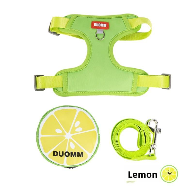 

Pet Dog Leash With Fruit Pattern Non Elastic Polyester For Small Puppies And Walks XS зелёный