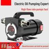 Electric Oil Extractor Pump - 12V/24V/220V Diesel Self-Priming Fuel Transfer Pump