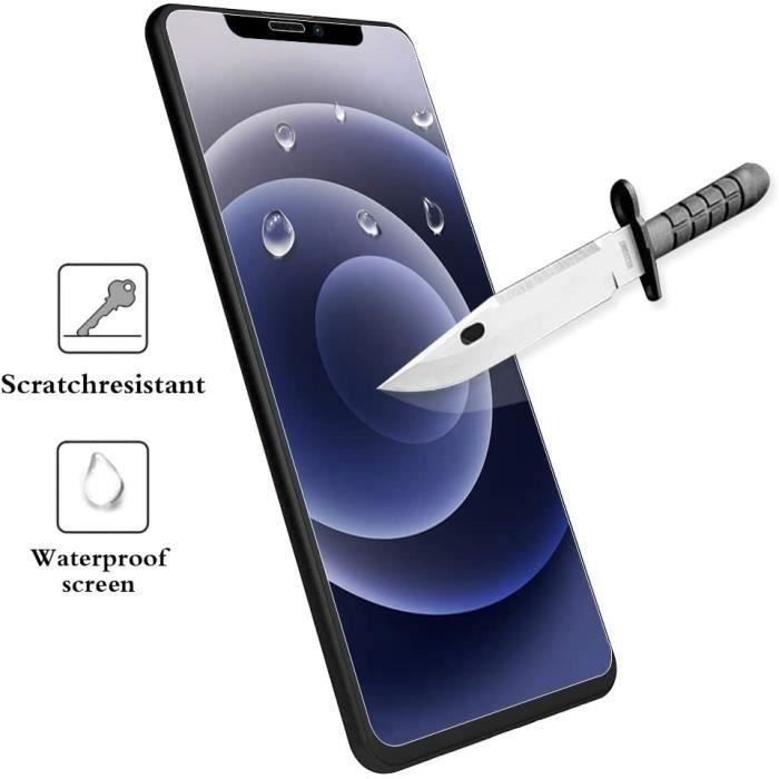 Protection Écran - E.F.CONNECTION - pour iPhone 12 Pro Max - Verre Trempé 9H - Transparent - Lot de 2